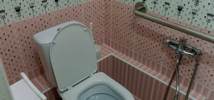Meeting Diverse Needs With Accessible Restroom Solutions in South Holland, IL