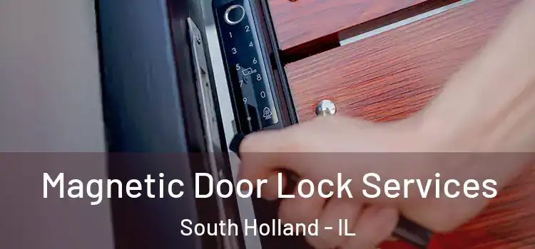 Magnetic Door Lock Services South Holland - IL