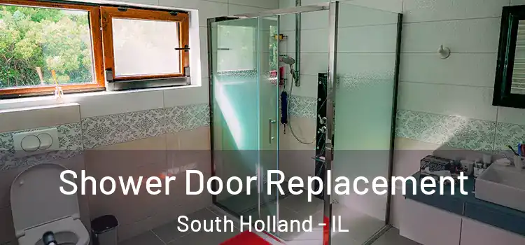 Shower Door Replacement South Holland - IL